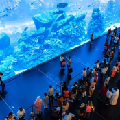 Dubai Aquarium