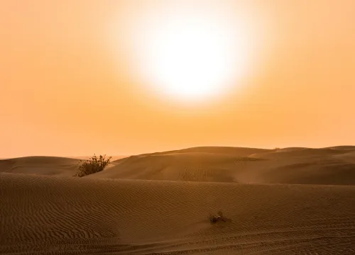 Tips for Beating the Sun During The Desert Safari Dubai
