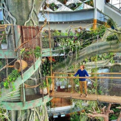 Green Planet Dubai