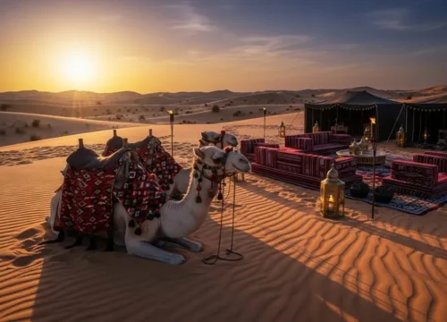Overnight Desert Safari in Dubai & Camping in Dubai