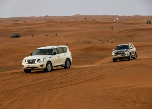 How to Plan a Desert Safari in the UAE: Booking Tips, Safety, and Online Privacy for Travelers
