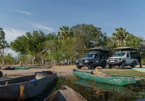 Beginner’s Guide to Planning a Botswana Safari Trip